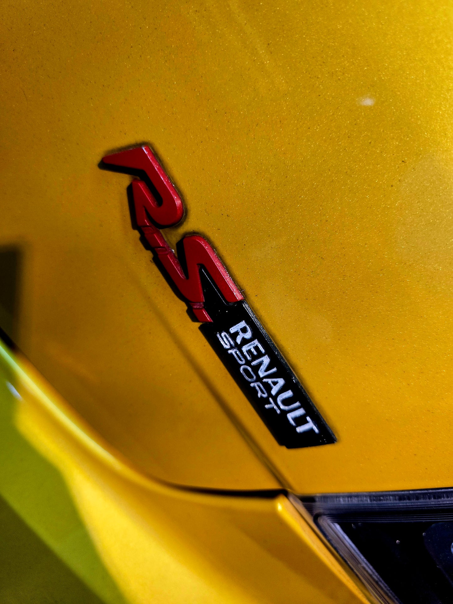 2013 RENAULT MEGANE RS 265 CUP 2.0 MT